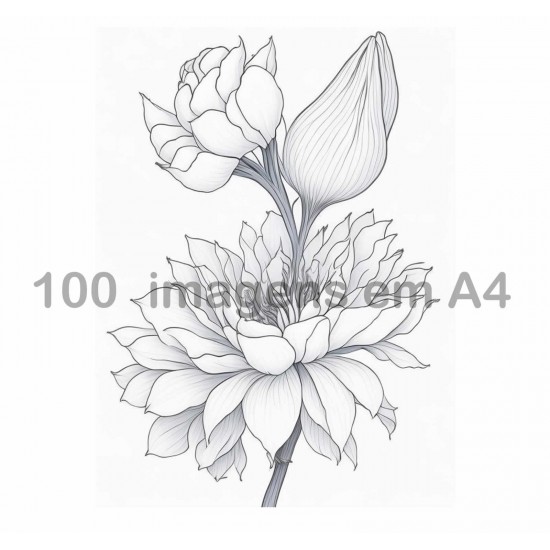 100 imagens de flores para Colorir