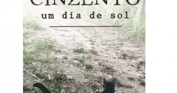 Cinzento Um Dia de Sol - A História de um Gato Abandonado