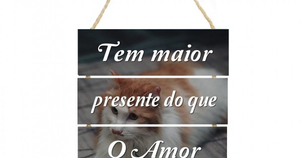 Placa decorativa Tem maior presente do que o amor de 047