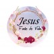 Placa decorativa com frase Jesus fonte de vida PL126