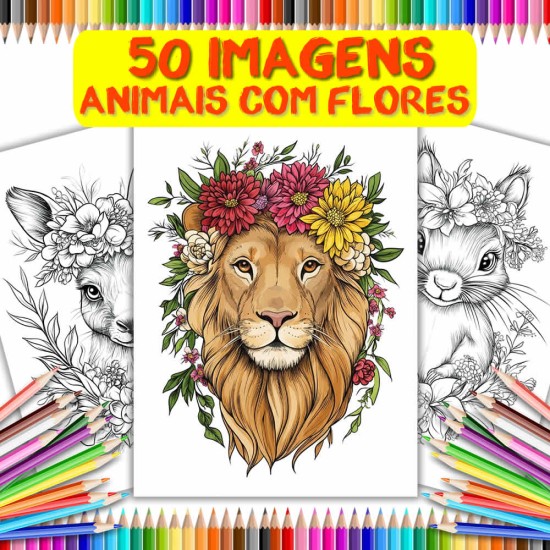 Imagem 1