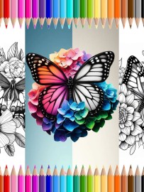 Livro de Colorir: Borboletas e Flores