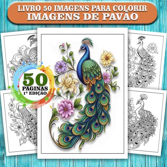 Imagem 1